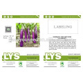 E17 Shengfeng no.3 f1 hybrid purple eggplant seeds, hybrid vegetable seeds